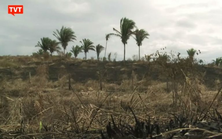 Movimentos sociais e ambientalistas querem derrubada da ‘MP da Grilagem’. Câmara vota nesta segunda