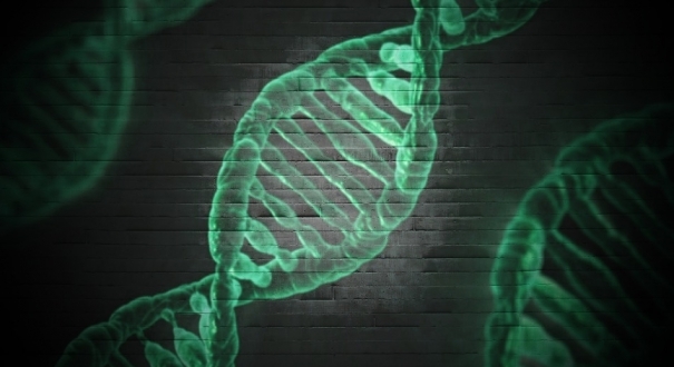 Juiz determina que gêmeos idênticos paguem pensão a criança em Goiás