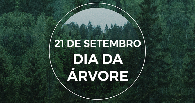 Neste Dia da Árvore, que tal plantar uma muda