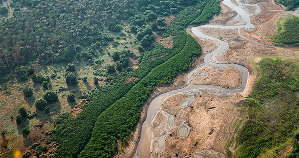 Turismo e crise climática: os caminhos sustentáveis para a Amazônia